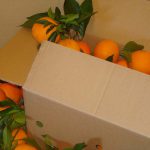 Caja Naranjas